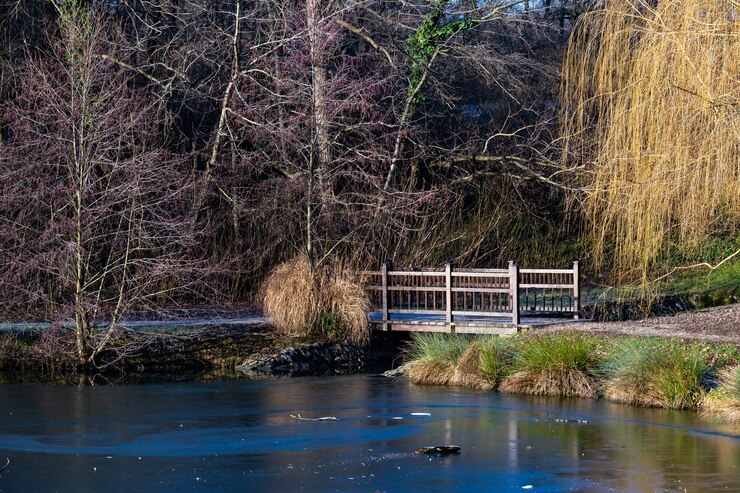 Riverside Landscapes in Germany